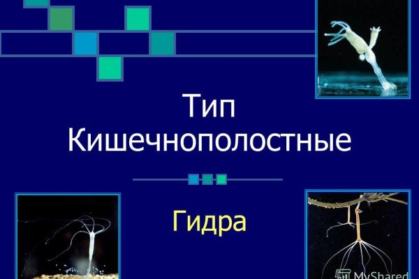 Кракен без тора