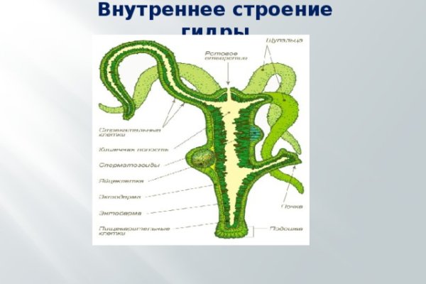 Что такое кракен площадка