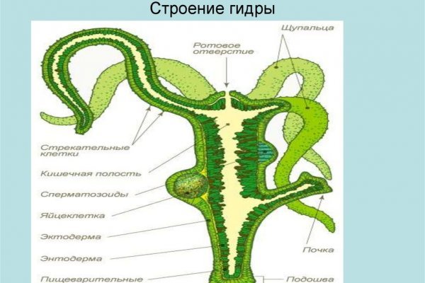 Kraken 12at сайт
