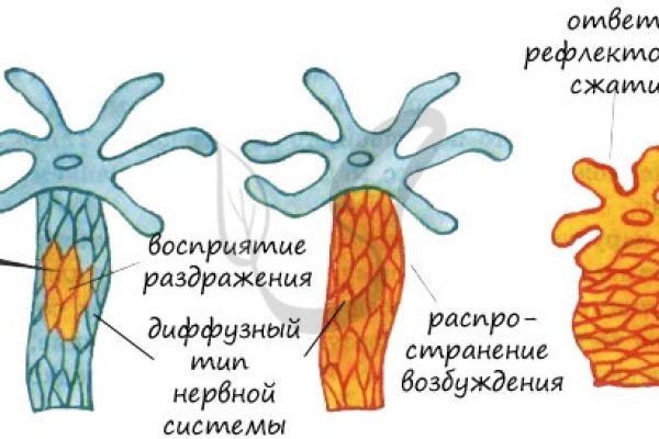 Кракен ссылка даркнет